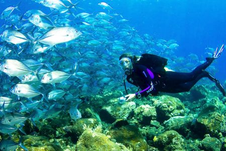 Mozambique Diving Bazaruto Day Tour