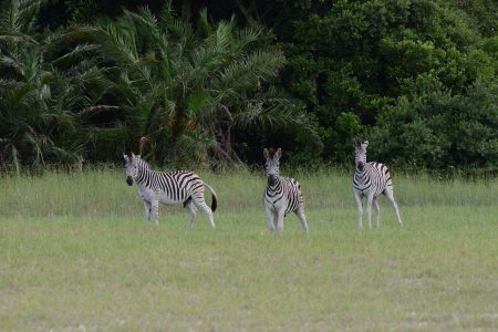 3 nights – Special Nature Reserve Tour